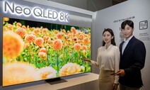 ‘마이크로 LED’ 세밀한 화질…단풍나무 주름까지 생생