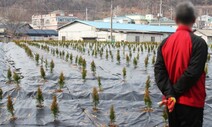 신도시서 터진 LH 직원 투기 의혹, 성긴 법망이 탈선 불렀다