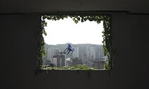 버려질 것을 알면서도 살아야 한다면…다큐 ‘의자가 되는 법’