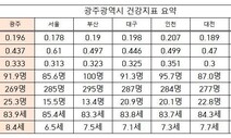 광주, 암 발생률 낮은데 폐렴 사망률은 높아