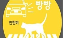 ‘고양이 로드킬 방지’ 차량 스티커 무료로 신청하세요