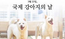 “사지 말고 입양하세요” 오늘은 국제 강아지의 날