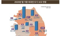 외국인, 지난해 여의도 면적 1.6배 땅 샀다