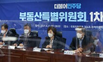 여당 ‘무주택 대출규제 풀고 재산세 완화’ 내달 매듭 방침