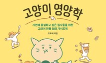 ‘초보 캔따개’도 따라할 수 있는 고양이 영양학