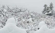 봄비가 데려온 설악산 눈…쌀쌀하고 비 흩뿌리는 5월 첫 주말