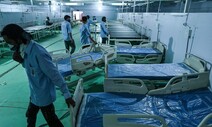 “코로나19 감염돼 형성된 항체, 8개월 이상 지속”