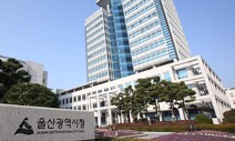 울산시, 13일부터 양돈농장에 ‘방사사육 금지’ 행정명령