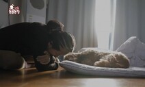 효리와 순심이가 ‘인생의 가족’을 보낸 모든 이에게