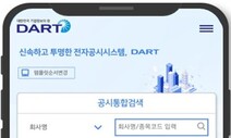 금감원, DART 홈페이지 개편…공시검색기능 신설