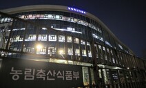 5월 세계식량가격지수, 10년 만에 최고 상승