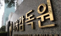 회계감리 지적 가장 많은 유형은 ‘매출 부풀리기’