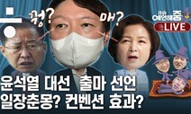 드디어 윤석열 출정, 꿩 잡는 매는 누구인가?