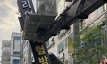 법원 “리얼돌, 학교근처서 사용땐 수입 보류될 수도” 첫 판단
