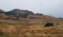 6년 쉰 제주 송악산 탐방로 8월부터 개방한다