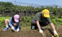 [ESC] ‘저 푸른 잡초 위에’ 무너진 농부의 낭만