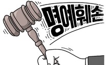 [유레카] 징벌적 손해배상과 형사처벌 / 박용현