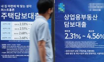 전세대출 규제 “할수도 안할수도…” 정부 딜레마