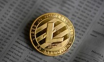 “월마트, 라이트코인 결제 허용” 가짜뉴스에 코인 출렁