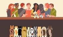 인천시, 길고양이와 공존해법 찾는다…토론회 개최