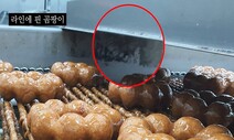 [단독] ‘공장 위생 논란’ 던킨도너츠, 민주노총 조합원 승진 차별