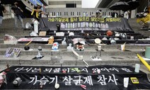 ‘EU 퇴출’  유해물질 국내 방향제·세정제 등 244개 제품에 사용