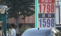 당정 “11월12일부터 유류세 20% 인하…휘발유 리터당 164원↓”