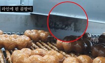 ‘더러운 공장’ 던킨, 민주노총·언론 탓하면 “대가 준다” 점주 회유