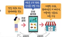 은행앱으로 보험금 청구부터 음식 주문까지…종합금융플랫폼 전성시대