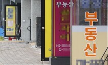 공시가 1억 이하 아파트 ‘쇼핑’…법인·외지인 조사받는다