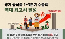 인삼류 등 경기도 농식품수출 호조…수출액 역대 최고치