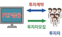 금융위 “과도한 리워드·고수익 P2P금융은 불법 가능성”