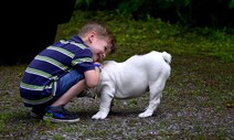 형식보다 내용이 중요하다