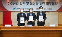 수소협약
