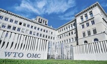 WTO 서비스 규제 협상 타결…한국 등 67개국 선언