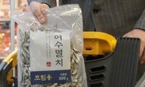 한국 보수의 극우 변방정치