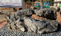 “인천대공원·부천터미널 앞 조경석서 석면 검출”
