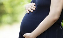 정부 “임신부 위중증, 비임신 여성의 9배…백신 이상반응 경미”