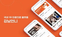 성형정보 앱 ‘강남언니’ 대표, 의료법 위반 1심서 집행유예