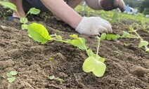 [ESC] 토마토 말리고, 고추 다지다 얻은 깨달음