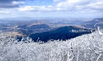 [ESC] 딱 2㎞만 걸어도 ‘겨울꽃 천국’…상고대 활짝 핀 덕유산