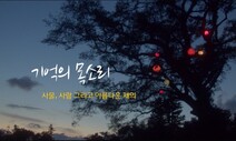 [삼일절 특집] ‘기억의 목소리’를 찍으며 ［오리지널 다큐멘터리: 스튜디오 한겨레］