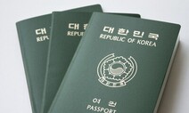 군필 주장에도…법원 “음주운전 전력자, 국적 회복 불허는 정당”
