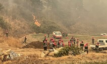 [현장] 불, 바람과의 사투 “사흘만에 처음 햇빛을 봤다”