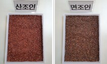 불면증에 좋다는 ‘산조인’ 알고 보니 식품유통 금지된 ‘면조인’