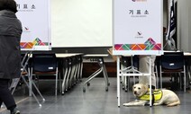 [투표율 중계] 오전 11시 현재 16%…서울선 강남구 16.6% ‘최고’