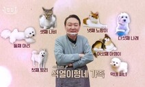 ‘멍냥이 7마리 집사’ 윤 당선자, “개 식용 금지 추진” 공약 지킬까?