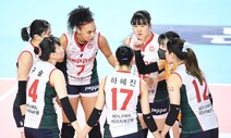 여자배구 20일로 또 연기…PS는 축소 진행