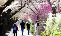 [뉴스AS] ‘벚꽃 서울’ 28일 전망…봄꽃을 반길 수만은 없다는데