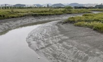 바다가 대지를 부르는 곳